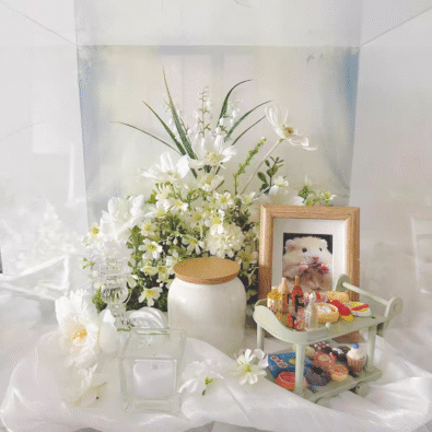 Pet Cremation Urn｜Elegant Series Set | White | DIY Dust Free